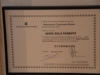 reajustado_dsc_0539.jpg